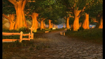Elywynn Forest feels just as real as the forest outside my childhood home.