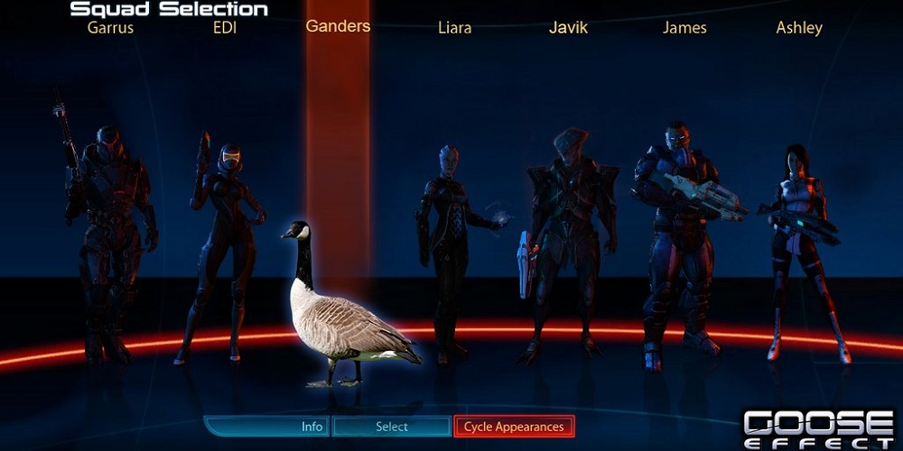 Witness the Magic of Nature with BioWare’s Goose Cam
