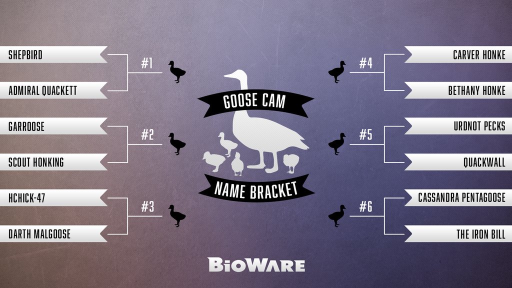 BioWare Goose Bracket