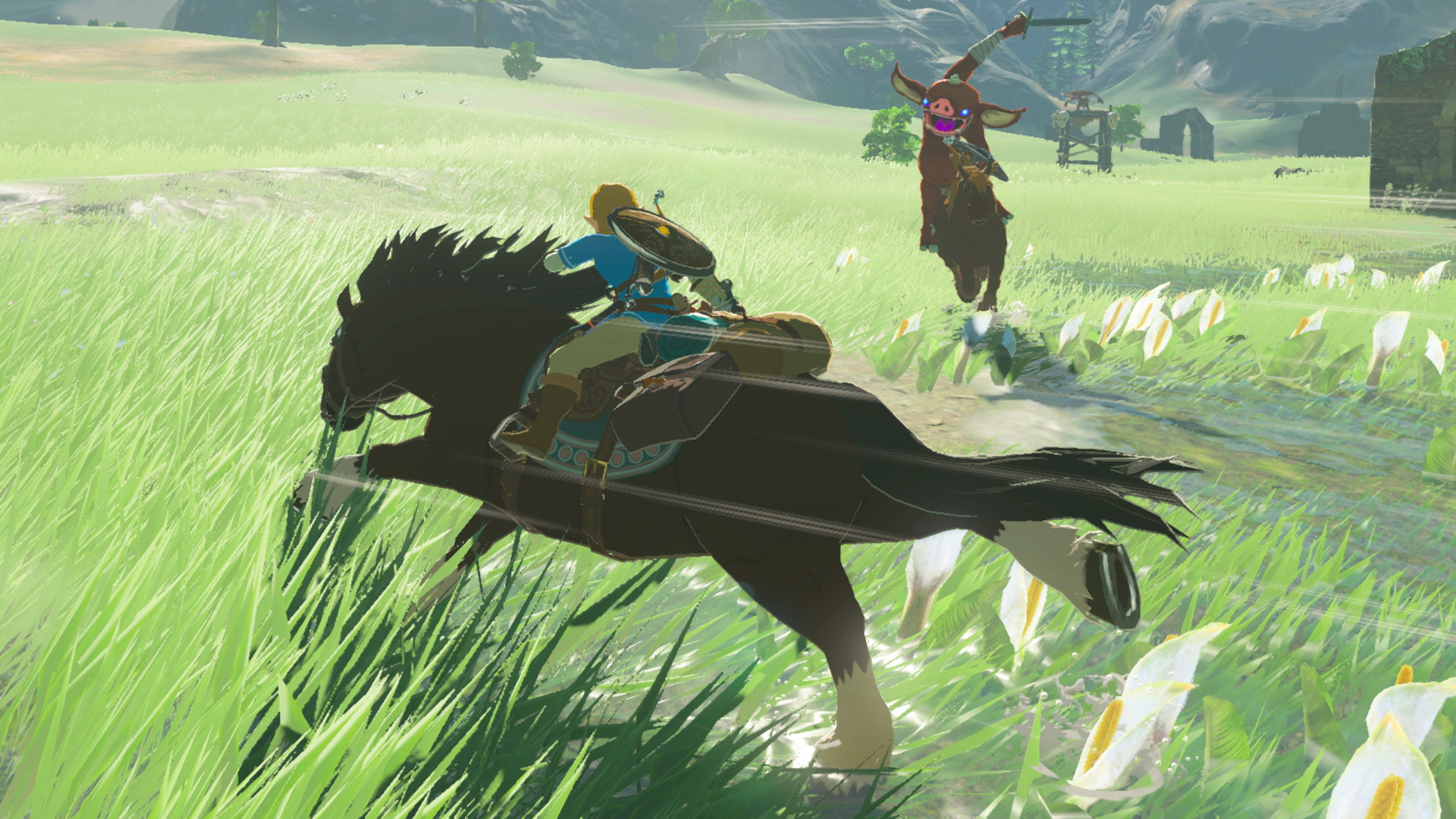 Zelda breath of the wild horse combat