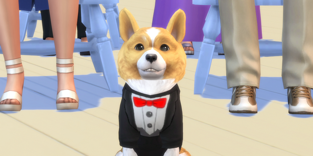 The Sims 4 Cats & Dogs Expansion Features Create-A-Pet