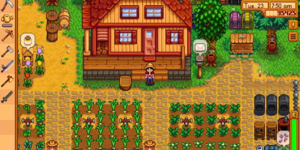 stardew valley