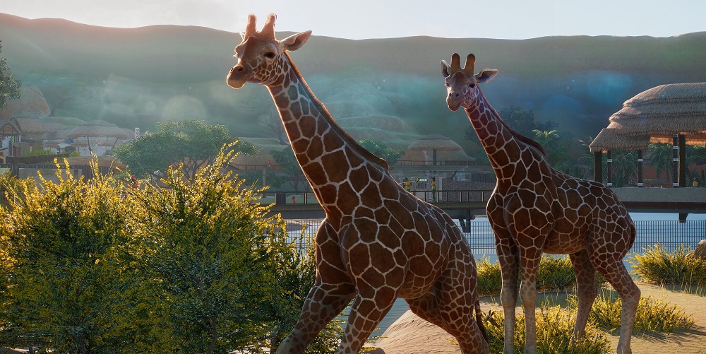 PC Gaming Show E3 2019: Planet Zoo Release Date and Pre-Order Bonuses Revealed