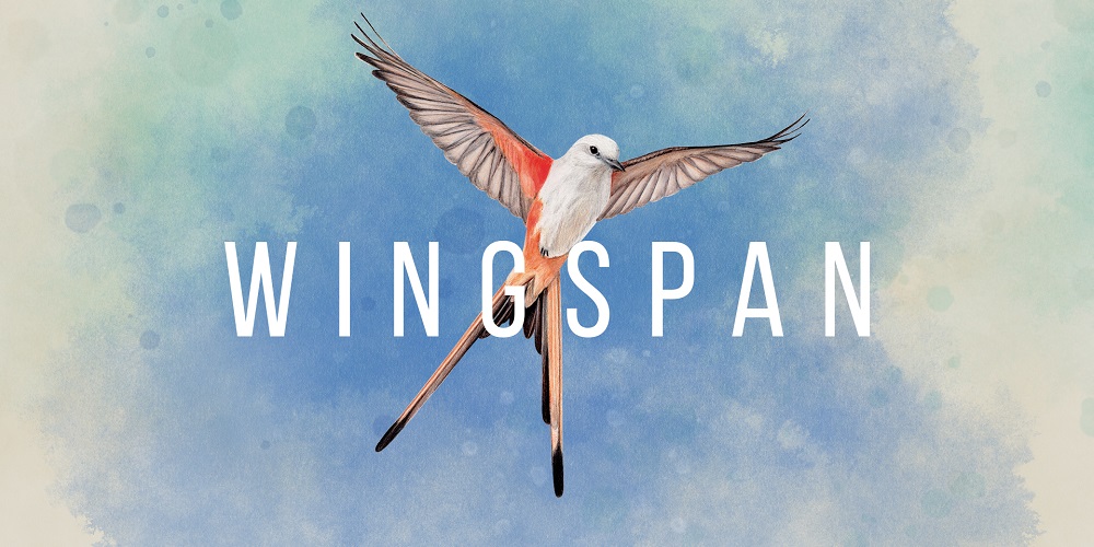 Wingspan: European Expansion adds new bird cards to the digital card game