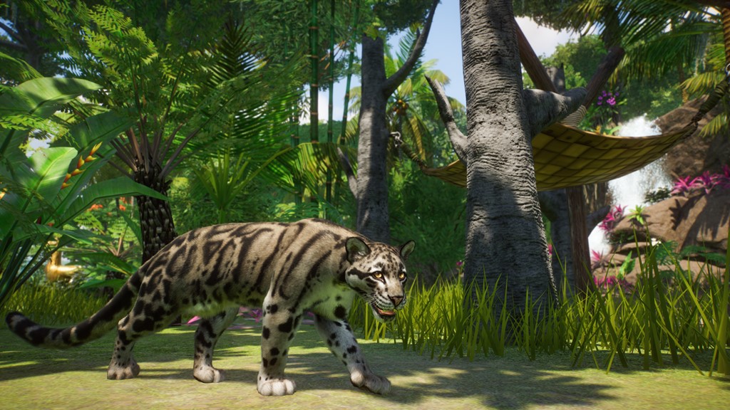 Leopards, Tapir, and Binturongs Coming to Planet Zoo with the Southeast Asia Animal Pack