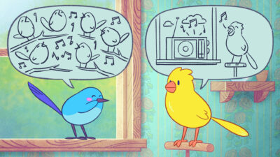 wholesome snack 2025