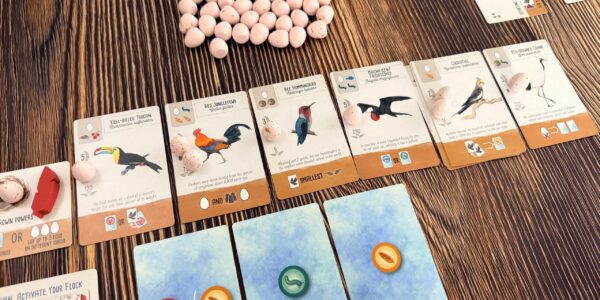 wingspan pocket
