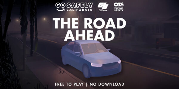 educational driving sim